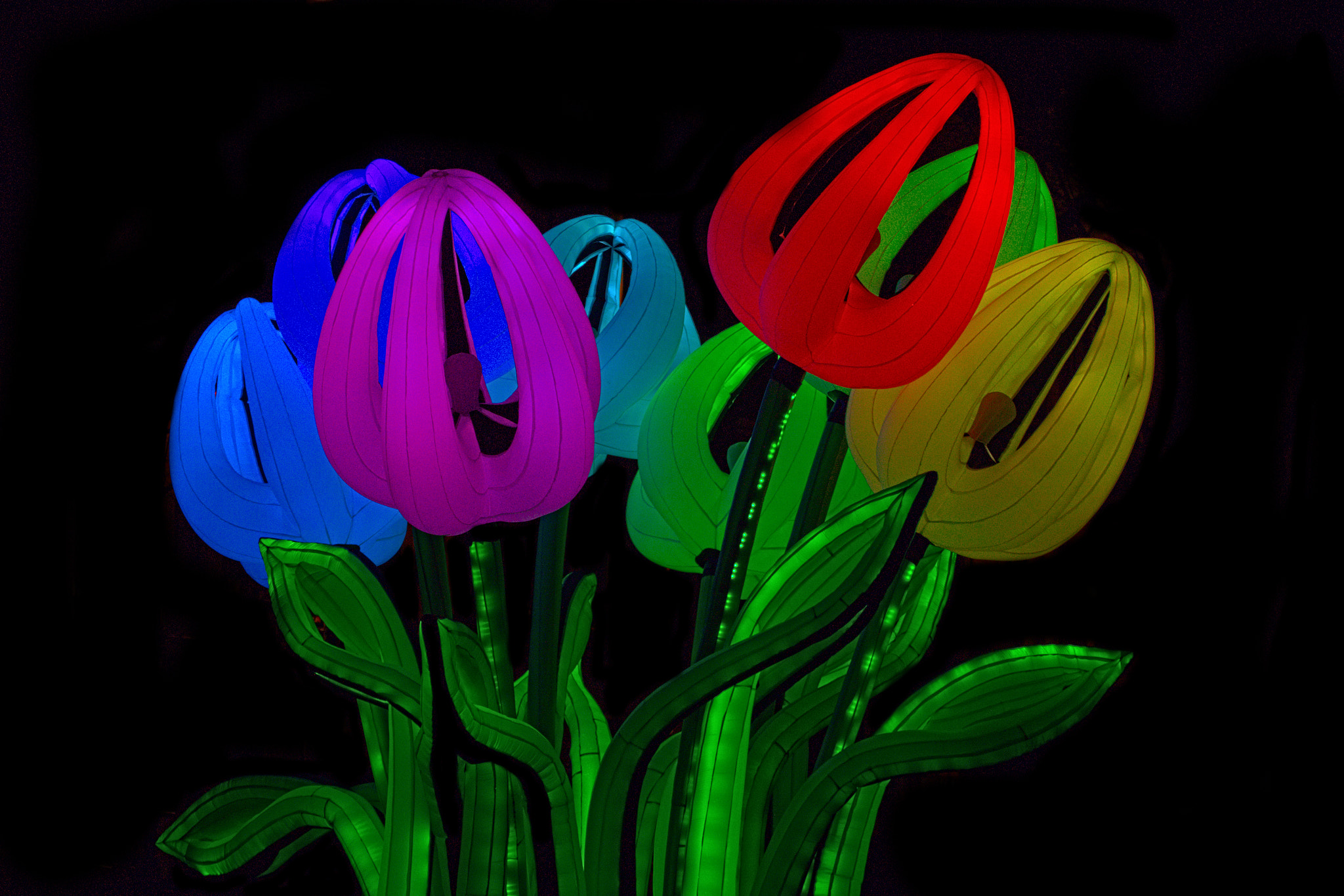 Canon EOS 650D (EOS Rebel T4i / EOS Kiss X6i) + Canon EF 70-200mm F4L USM sample photo. Tulpen...amsterdam light festival photography