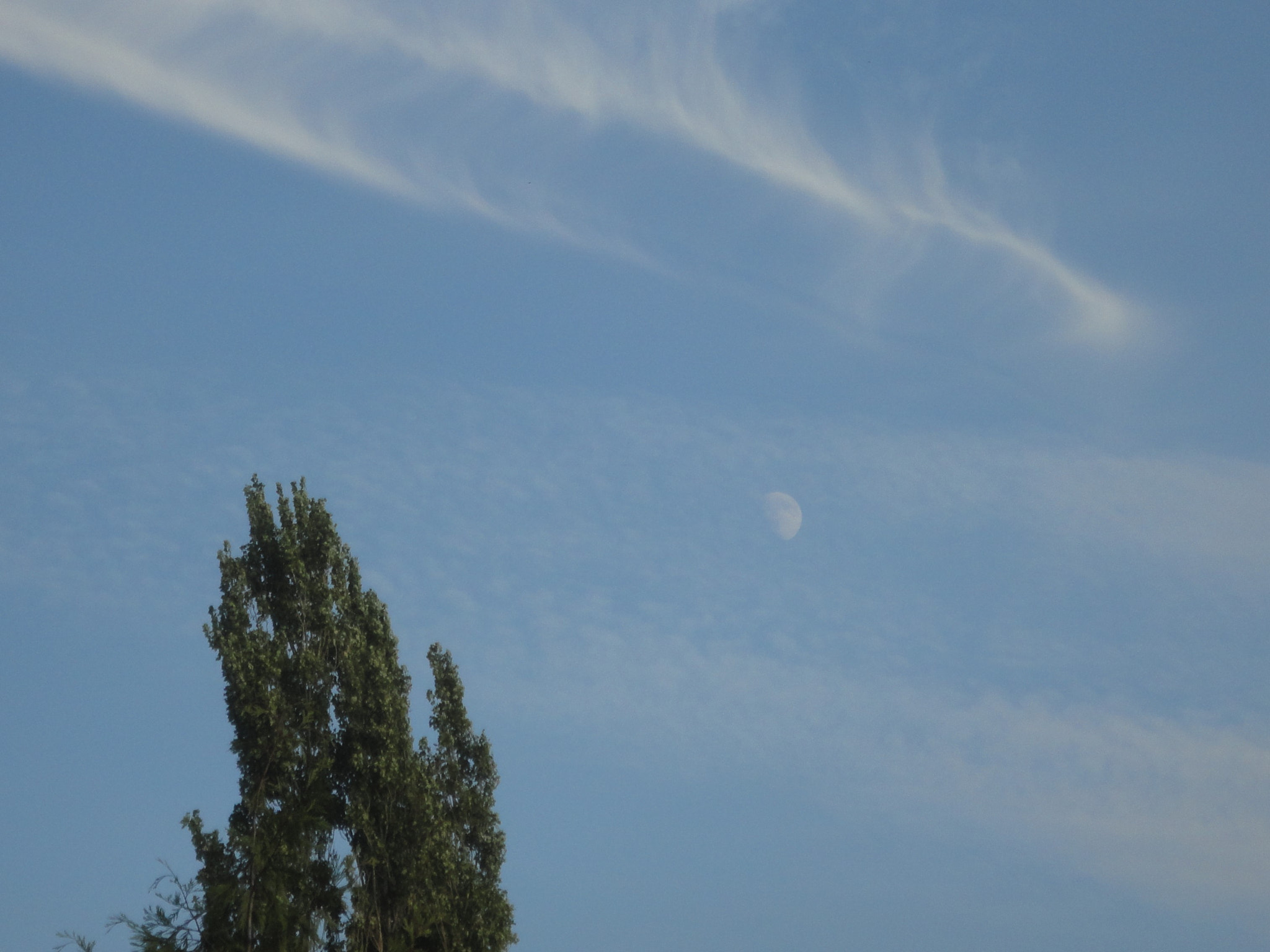 Sony Cyber-shot DSC-W560 sample photo. () photography