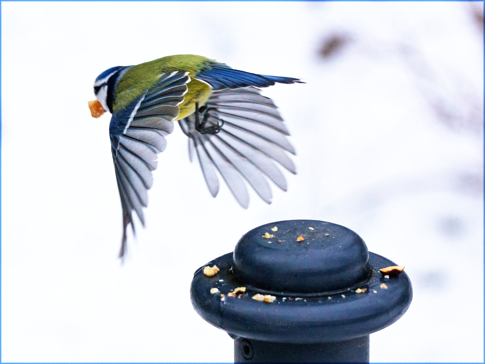 Sony 70-400mm F4-5.6 G SSM sample photo. And up and away ... photography