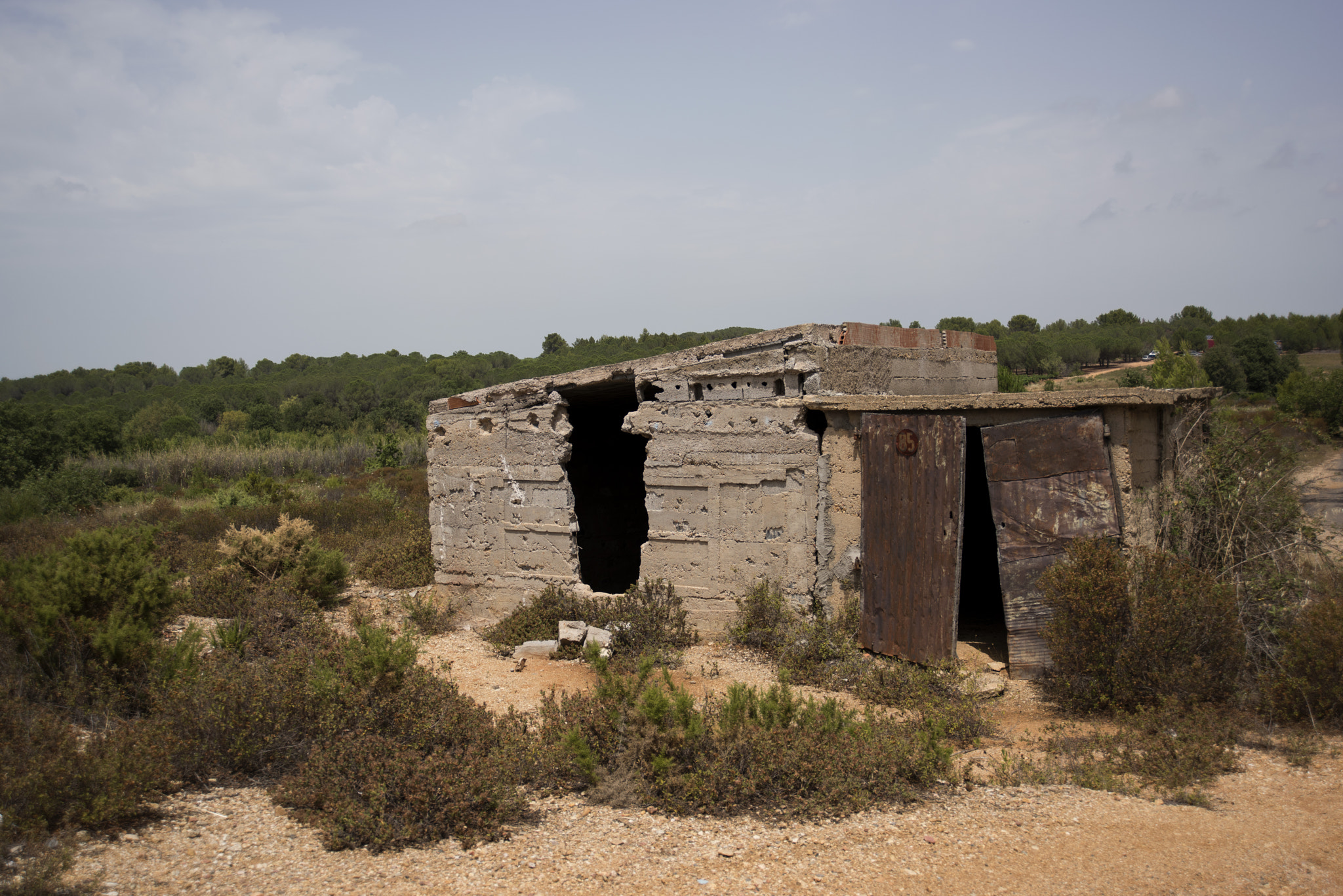 Nikon D810 sample photo. Vineyard crumbling shack photography