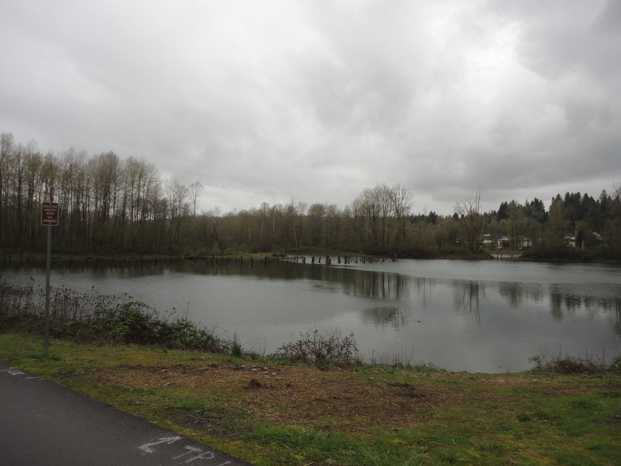 Sony Cyber-shot DSC-W560 sample photo. Washougal river greenway & lacamas lake trail photography