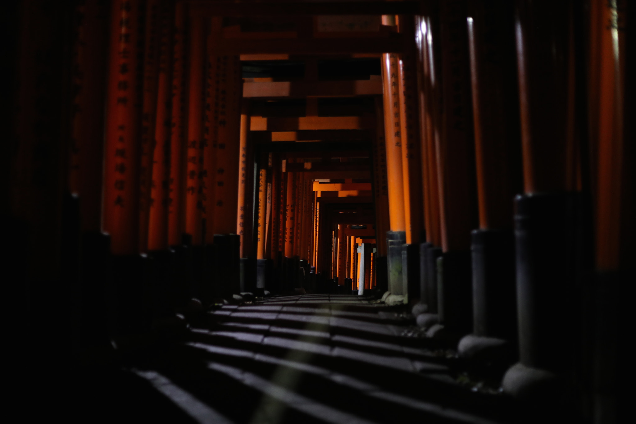 Canon EF 50mm F1.8 II sample photo. Kyoto photography