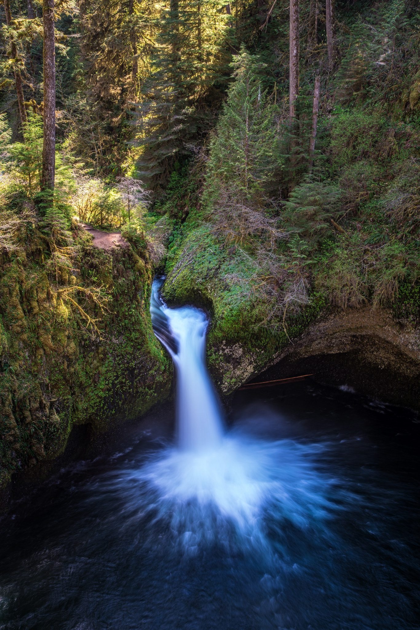 Sony a7R II + Canon EF 24-105mm F4L IS USM sample photo. Punch bowl photography