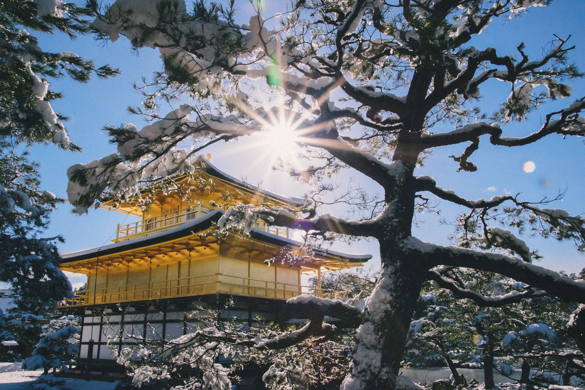Sigma 17-50mm F2.8 EX DC OS HSM sample photo. Kinkaku-ji photography