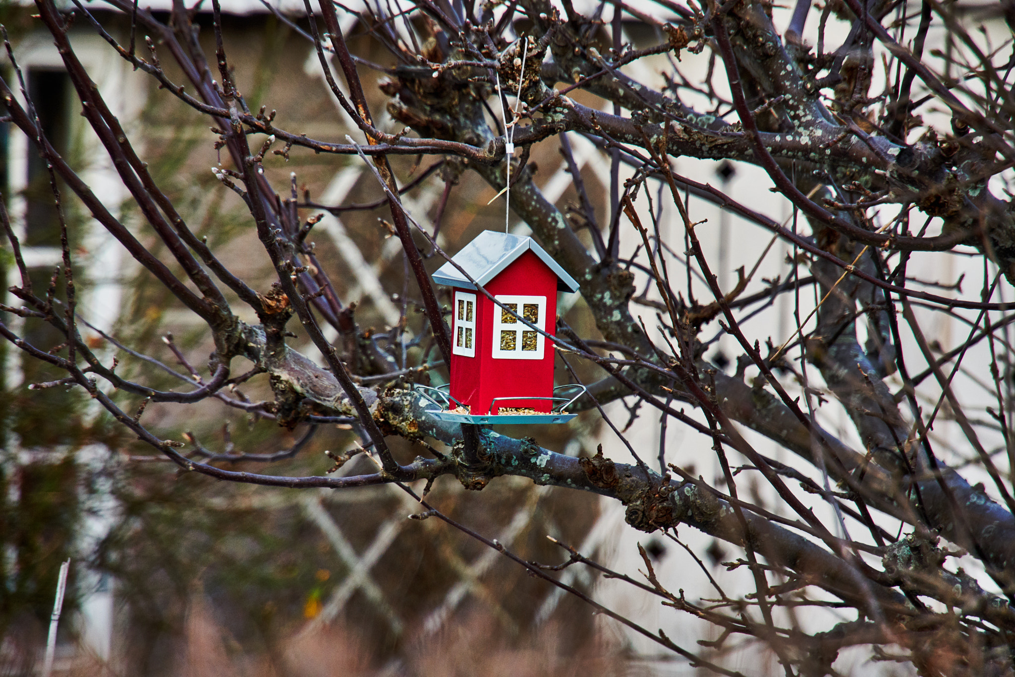 Sony E 18-200mm F3.5-6.3 OSS LE sample photo. Birds feed. photography