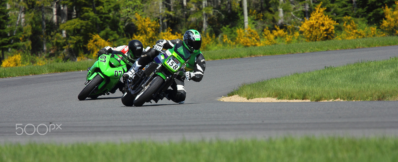 Canon EF 70-200mm F4L USM sample photo. Team green photography
