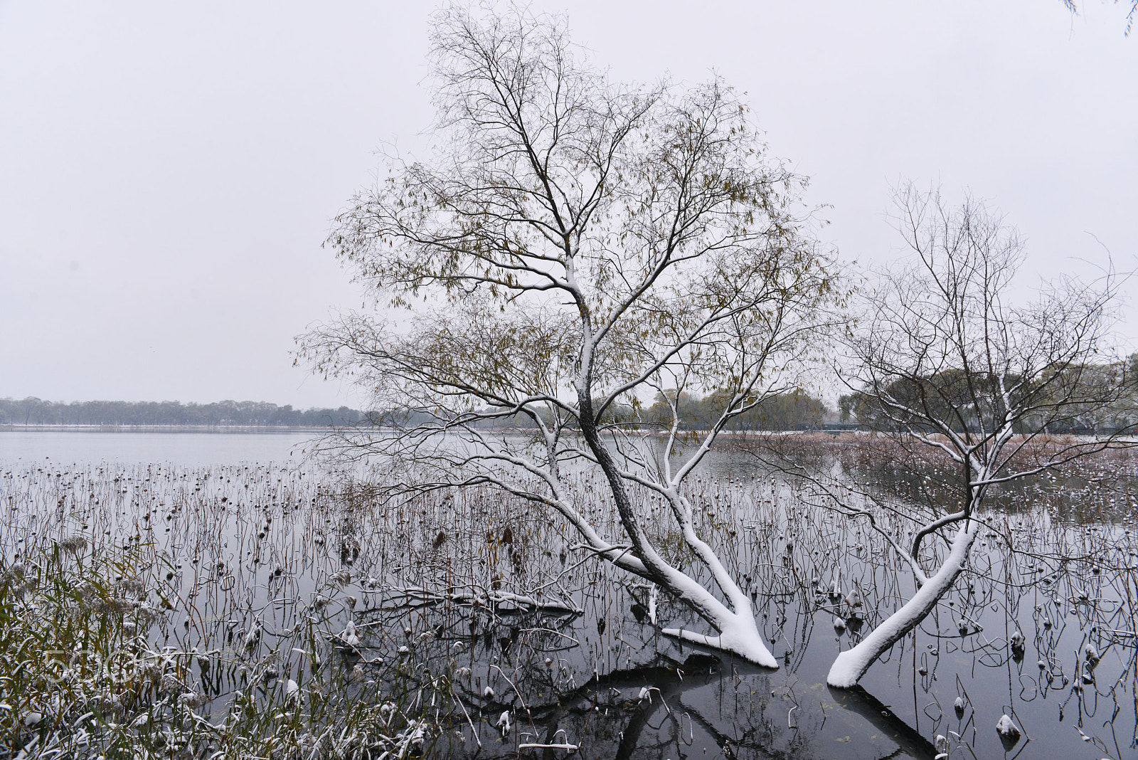 Nikon AF Nikkor 20mm F2.8D sample photo. Here is a warm winter in beijing photography