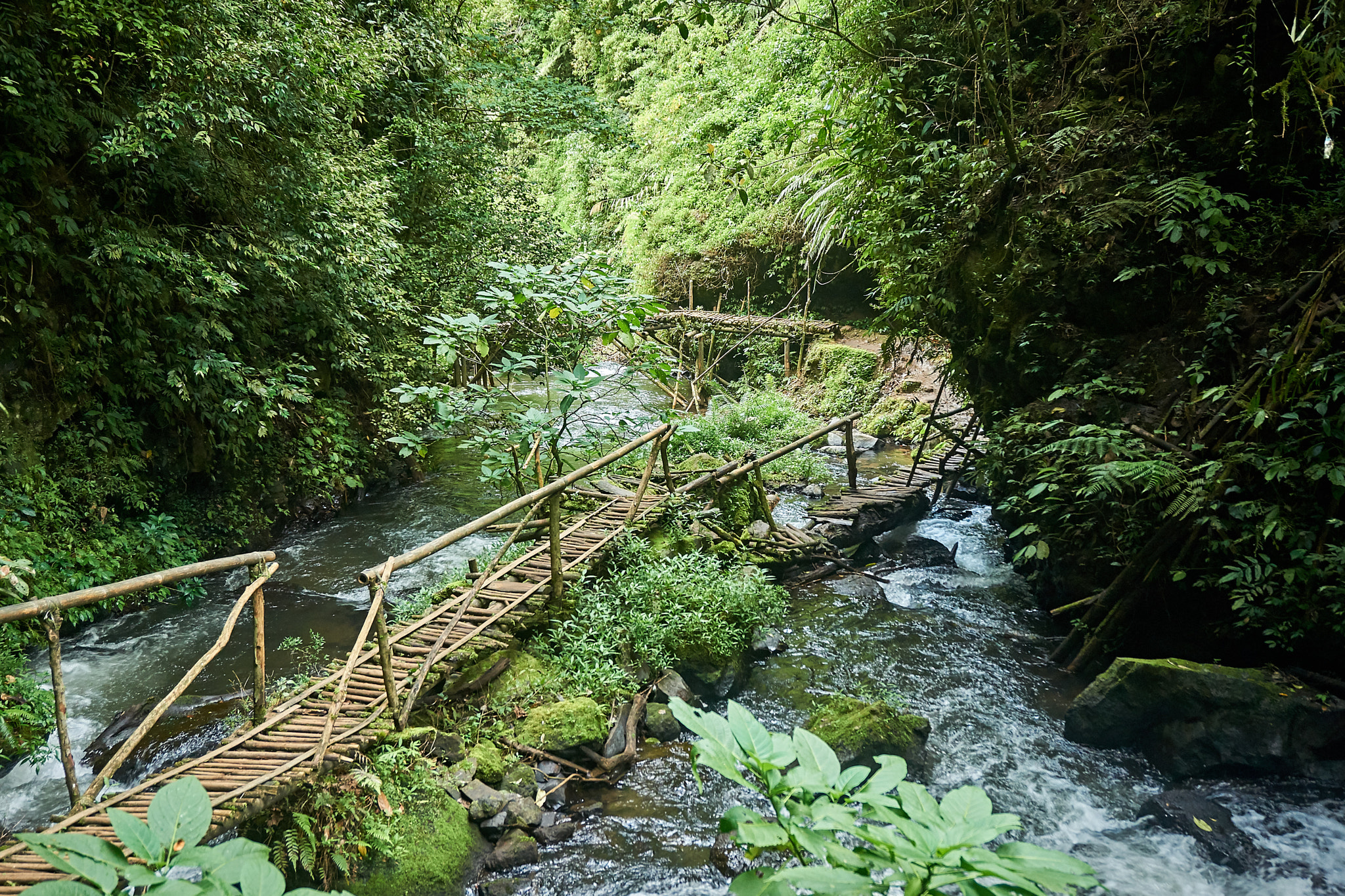 Sony Alpha a5000 (ILCE 5000) sample photo. Adventureous hiking trail photography