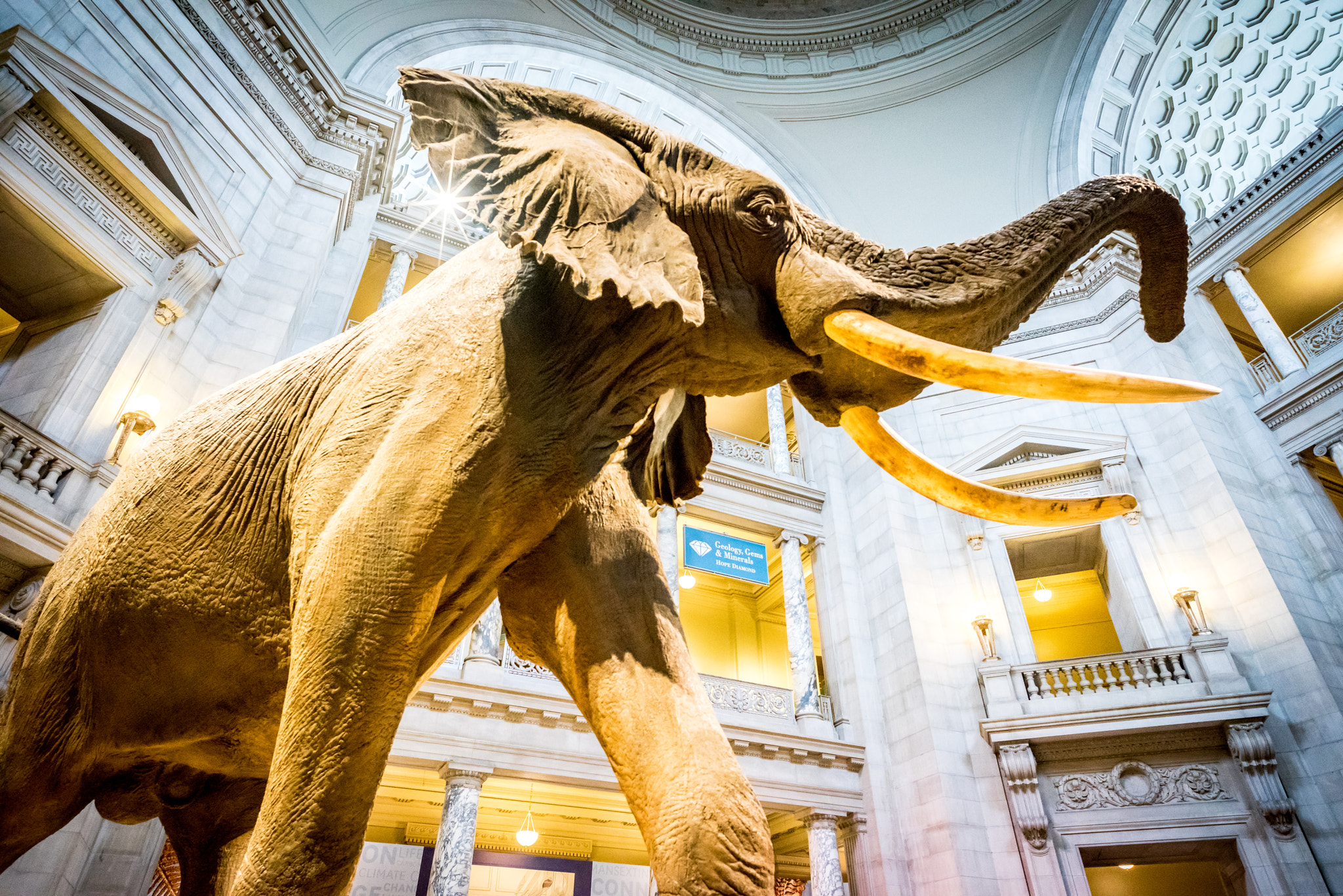 E 21mm F2.8 sample photo. Elephant photography