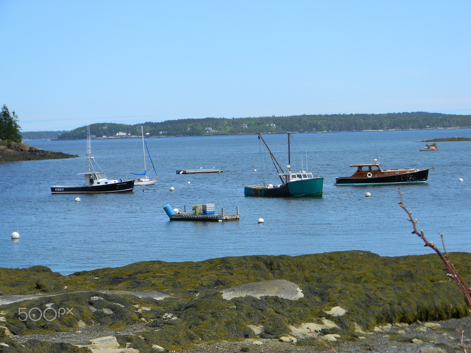 Nikon COOLPIX L105 sample photo. Maine boats photography