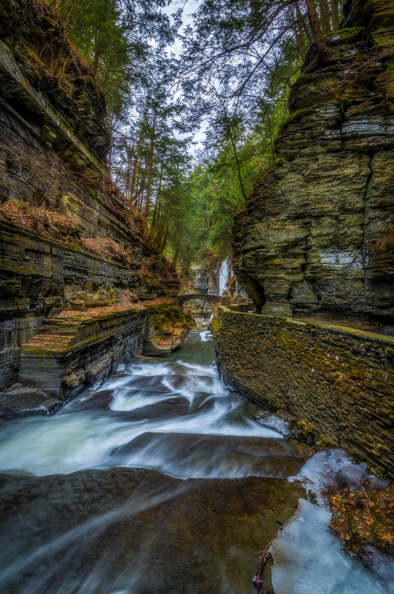 Canon EOS 760D (EOS Rebel T6s / EOS 8000D) sample photo. Robert h treman state park photography