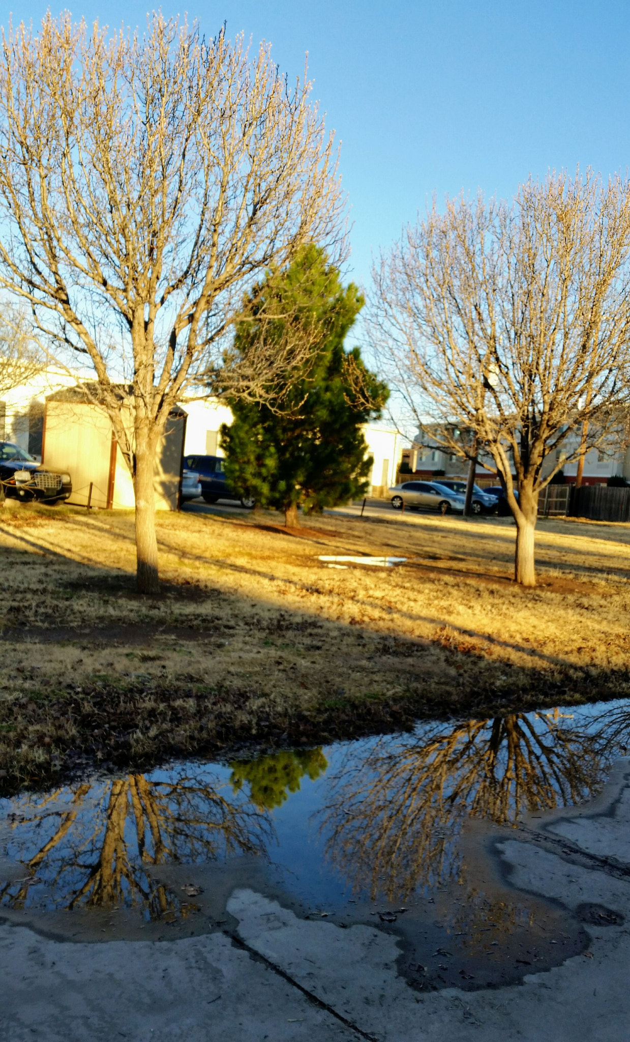 Samsung Galaxy S5 Active sample photo. Puddle reflections  photography