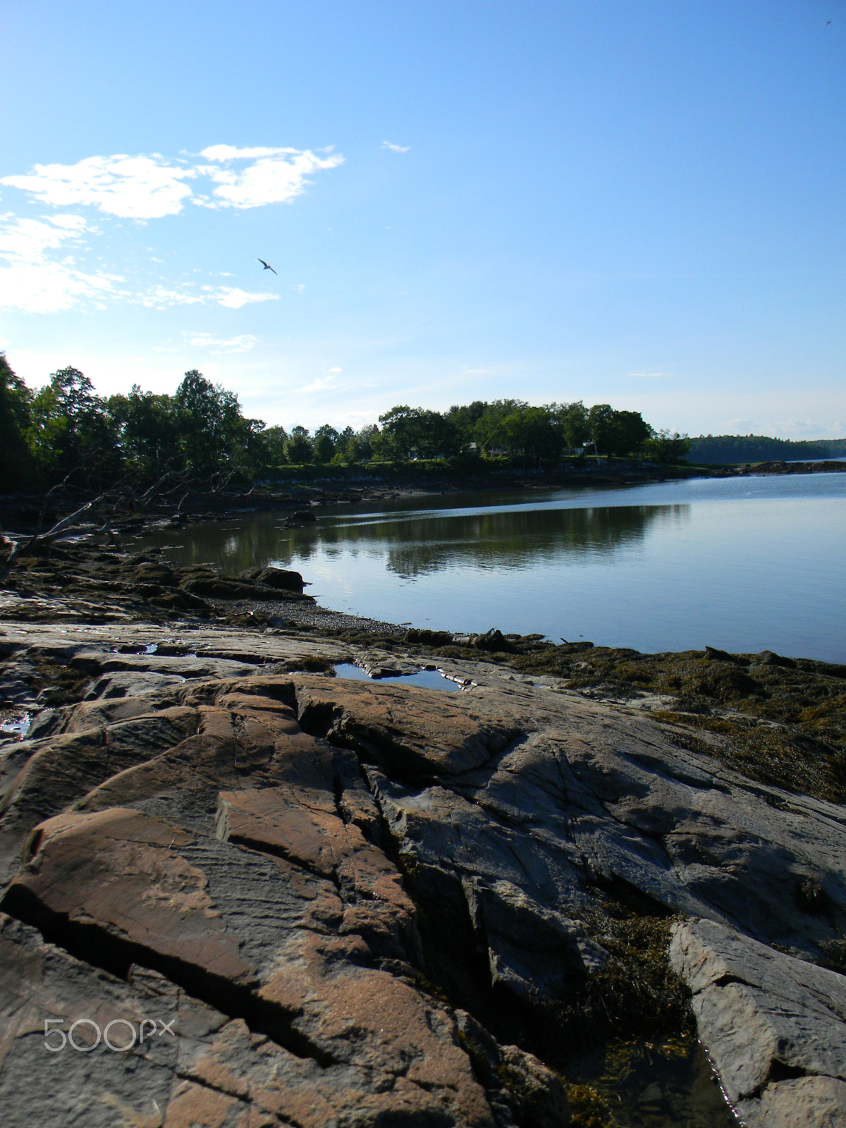 Nikon COOLPIX L105 sample photo. Coast of maine photography