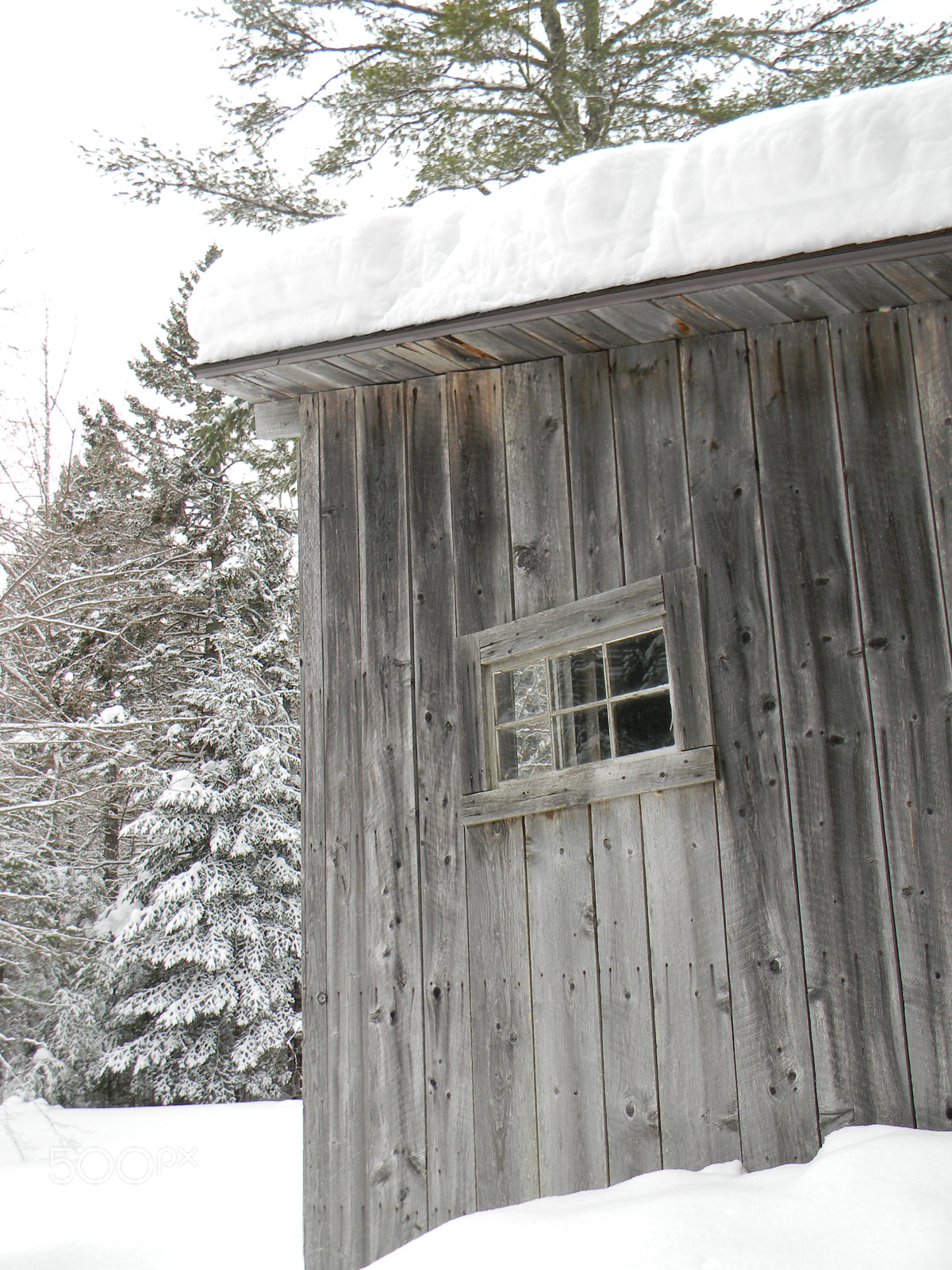 Nikon COOLPIX L105 sample photo. Snow in maine photography