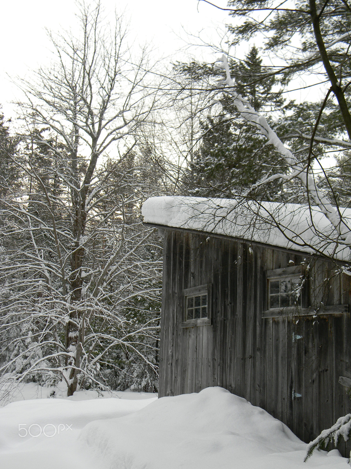 Nikon COOLPIX L105 sample photo. Beautiful snow in maine photography