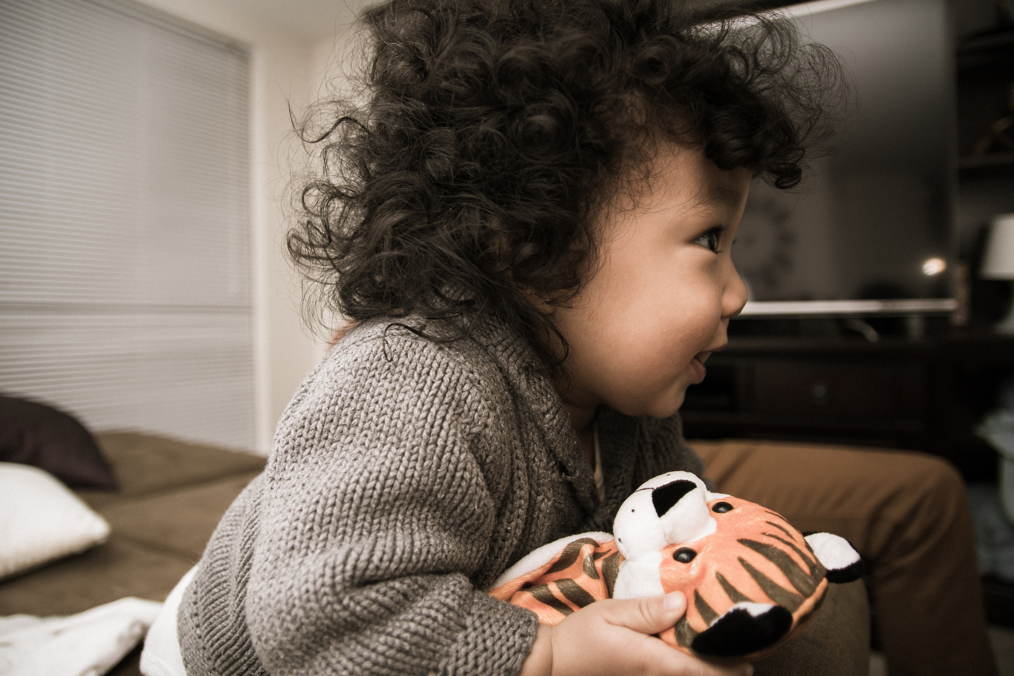 Sigma 17-50mm F2.8 EX DC OS HSM sample photo. Just a kid and his tiger photography