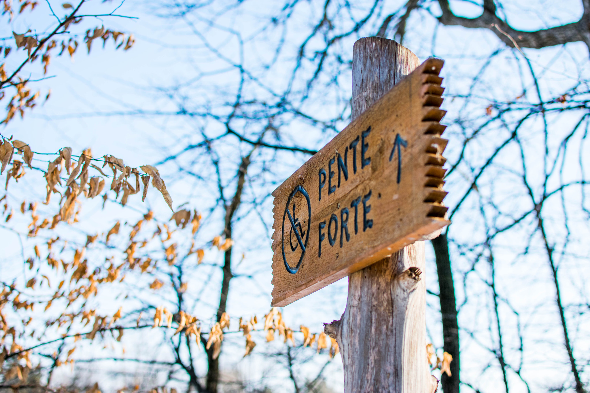 Nikon D3400 + Nikon AF-S DX Nikkor 35mm F1.8G sample photo. La pente photography