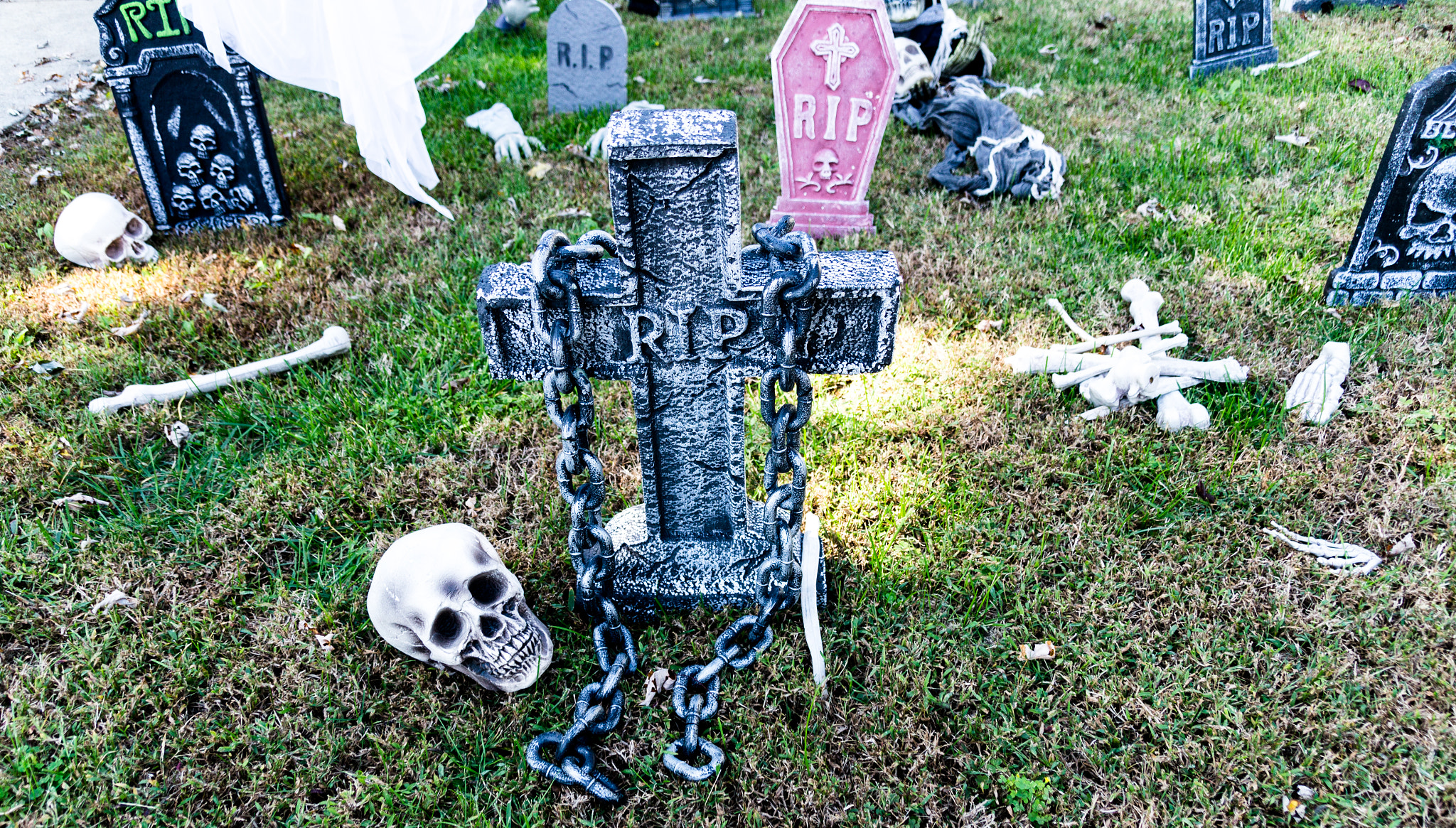 Sony SLT-A57 sample photo. Halloween decoration photography