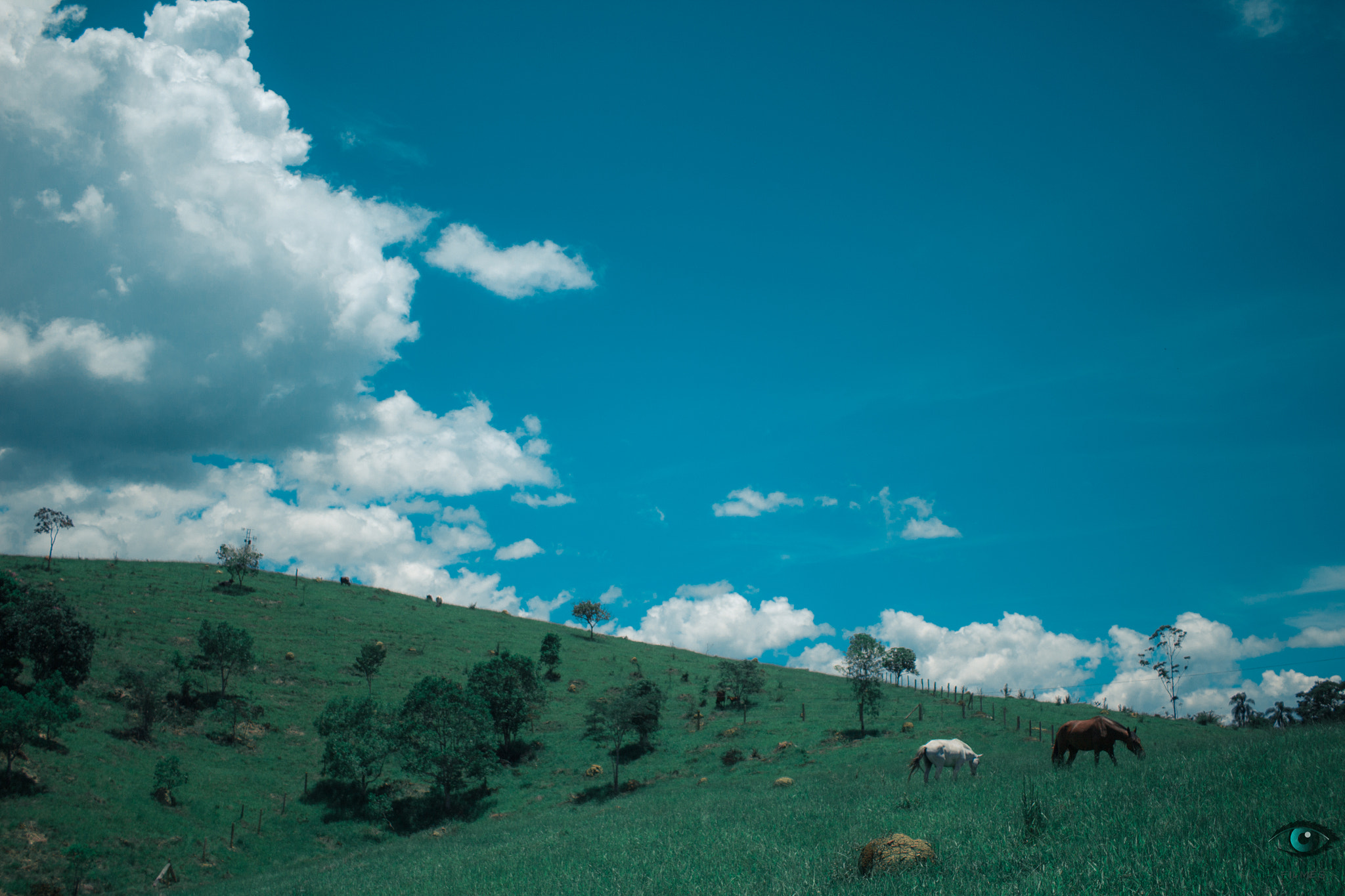 Canon EF-S 24mm F2.8 STM sample photo. ... photography