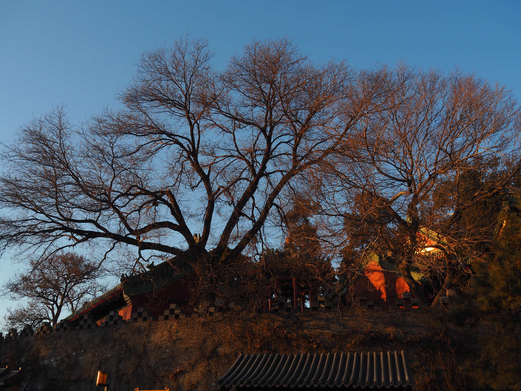 Olympus OM-D E-M5 II sample photo