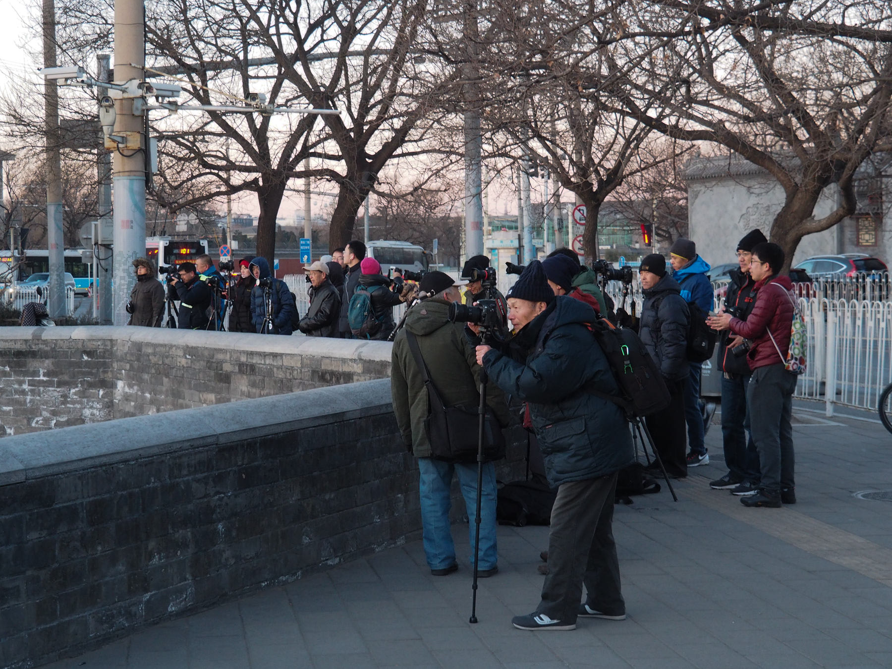 Olympus OM-D E-M5 II sample photo