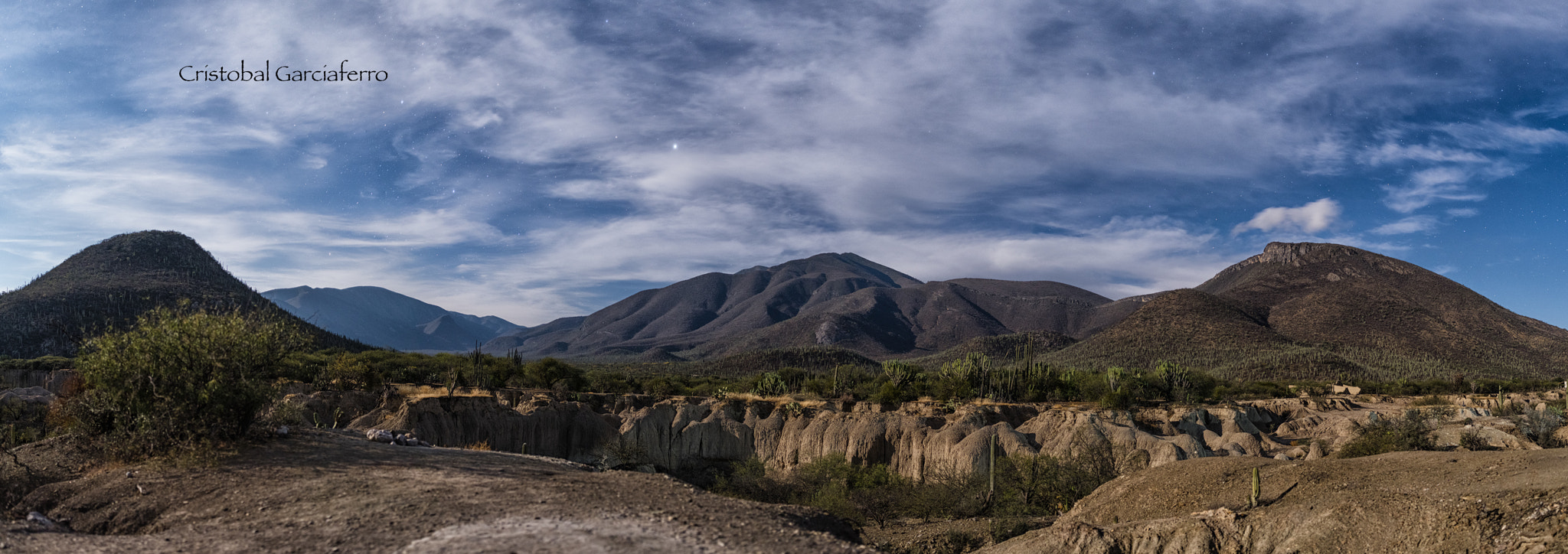 Pentax 645Z sample photo. Moon light in the cactus land photography