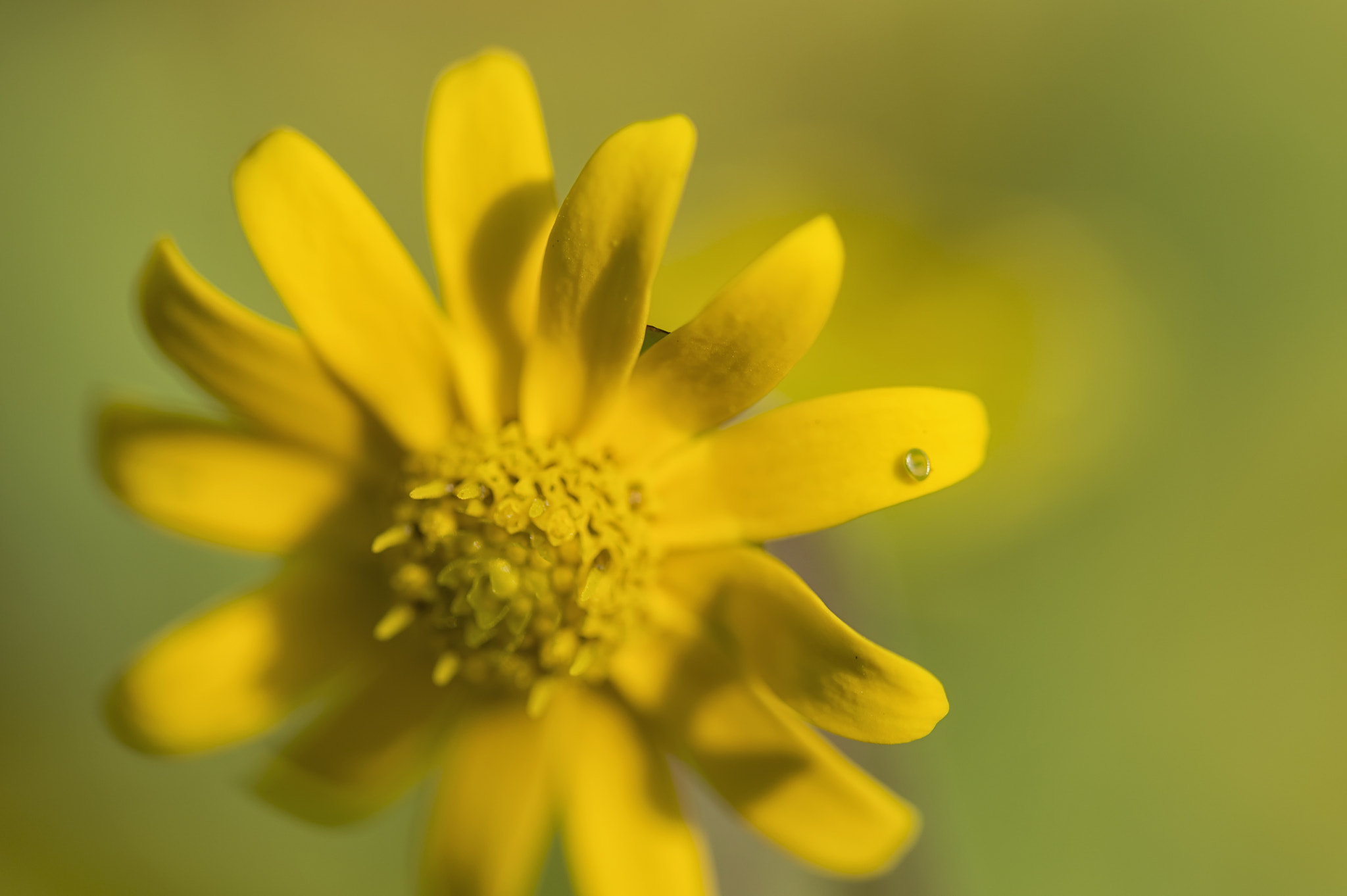 Nikon D3200 sample photo. Catching some rays photography