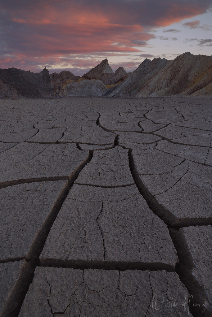 Sony a7R II + Canon EF 300mm f/2.8L sample photo. Desolate beginnings photography