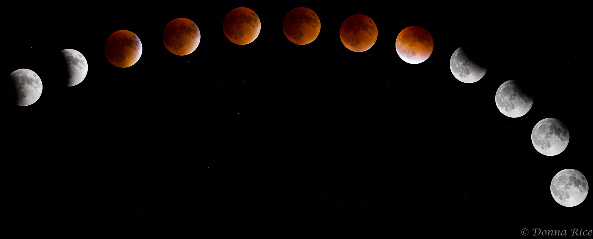 Canon EOS 6D sample photo. Blood moon composite photography