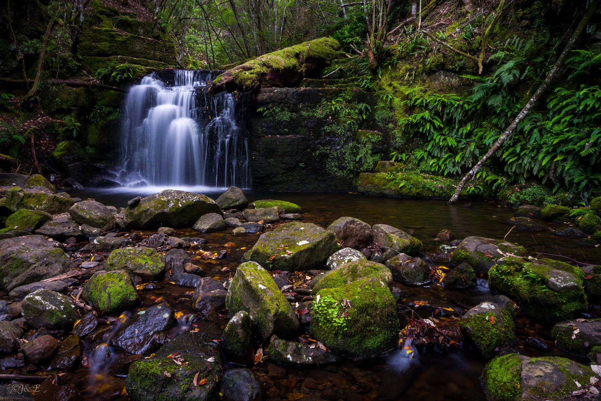 Pentax K-1 sample photo. Strickland falls photography