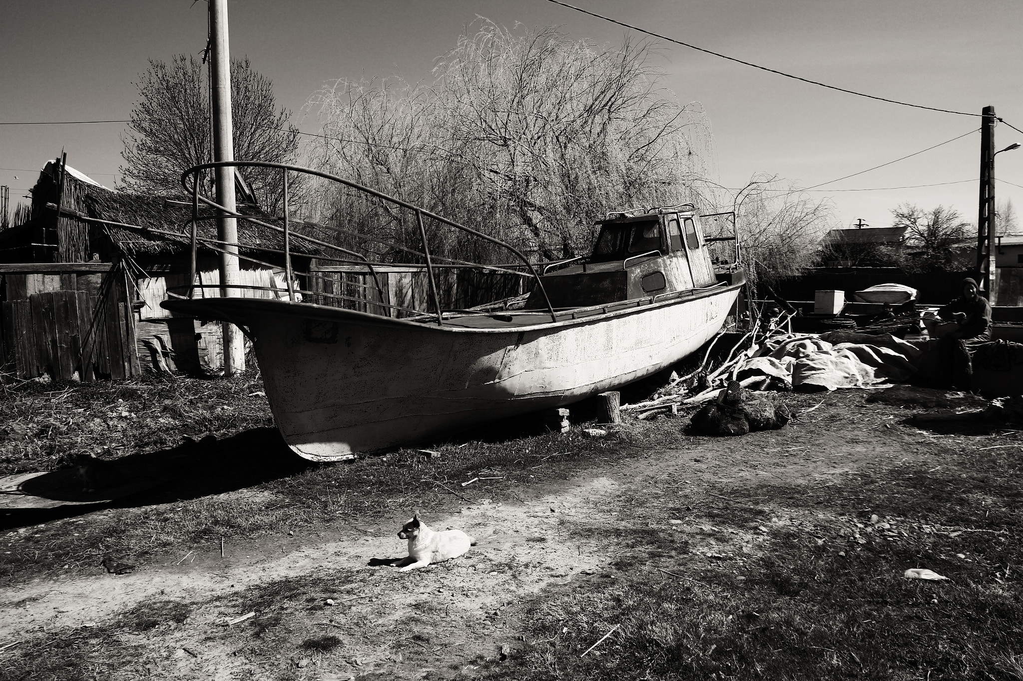 Canon EOS 650D (EOS Rebel T4i / EOS Kiss X6i) sample photo. Romania photography