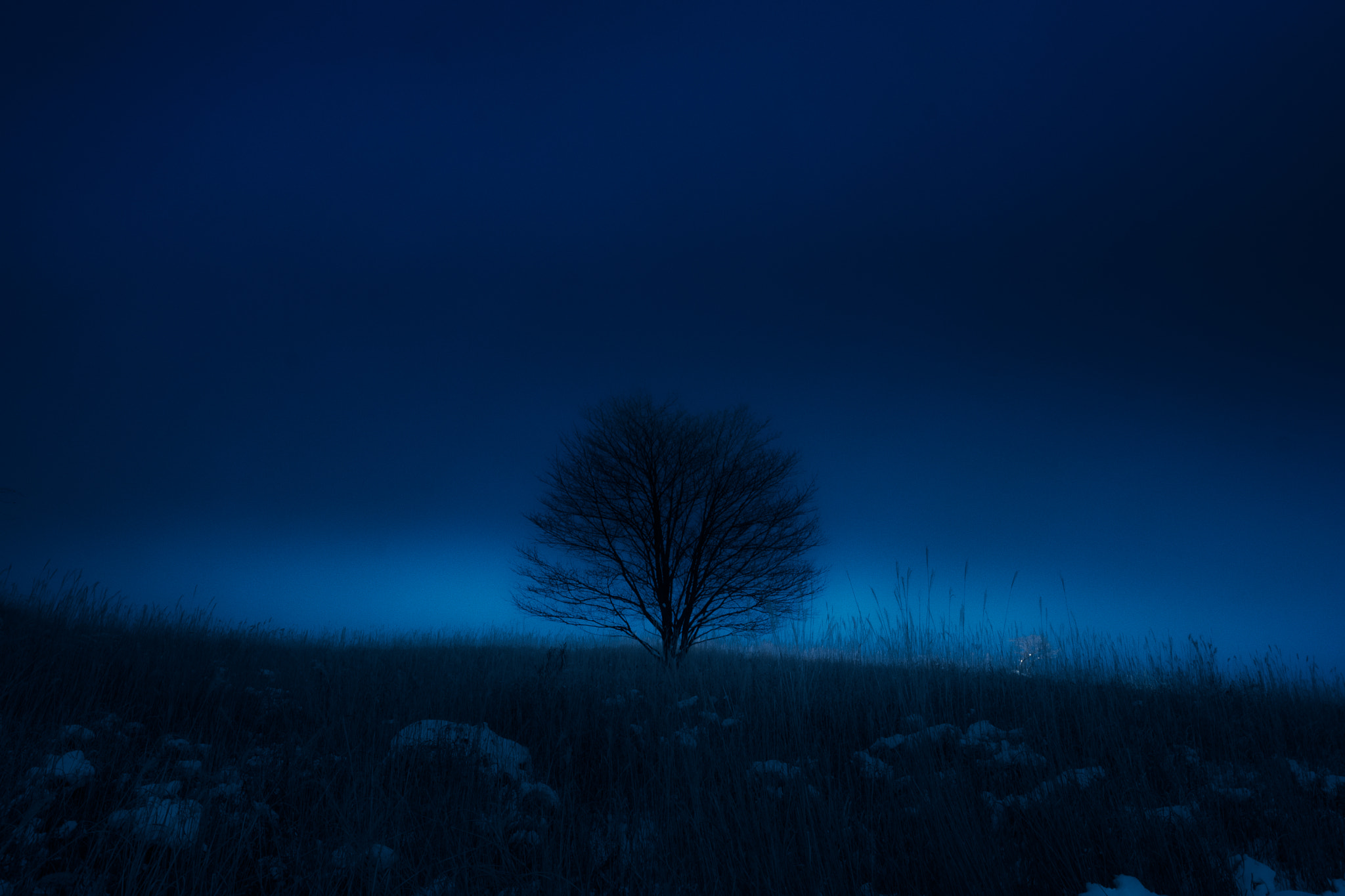 Sony SLT-A65 (SLT-A65V) + Sony DT 18-55mm F3.5-5.6 SAM sample photo. R jiu photography