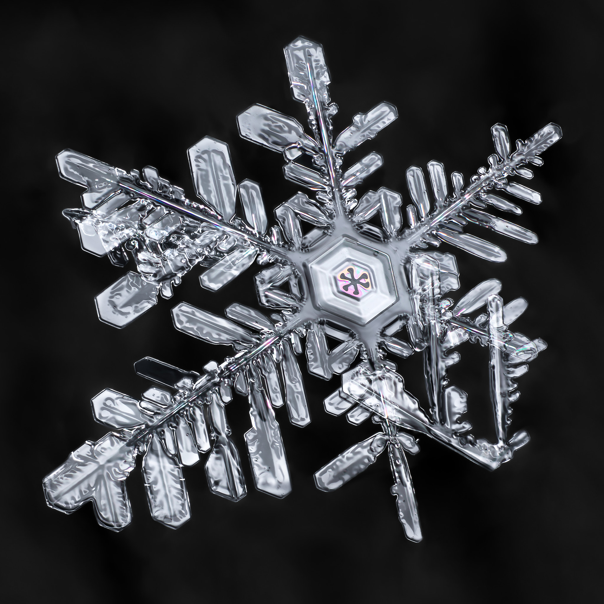 Canon MP-E 65mm F2.5 1-5x Macro Photo sample photo. Snowflake-a-day #36 photography