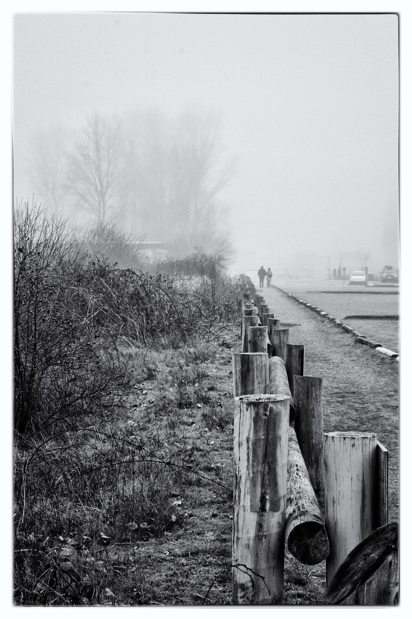 Canon EOS 550D (EOS Rebel T2i / EOS Kiss X4) sample photo. Misty morning photography