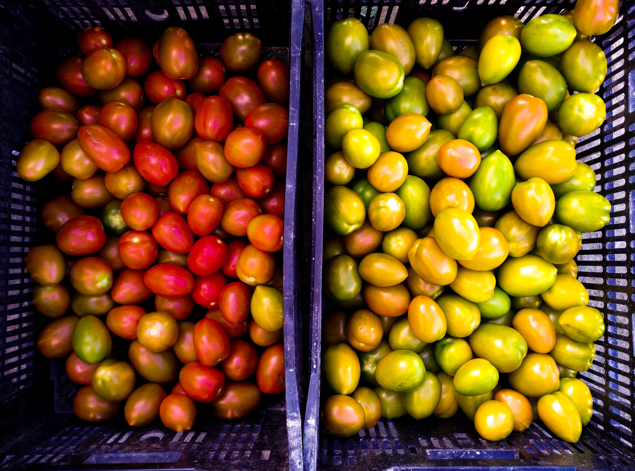 HUAWEI G7-L03 sample photo. Tomatoes box photography