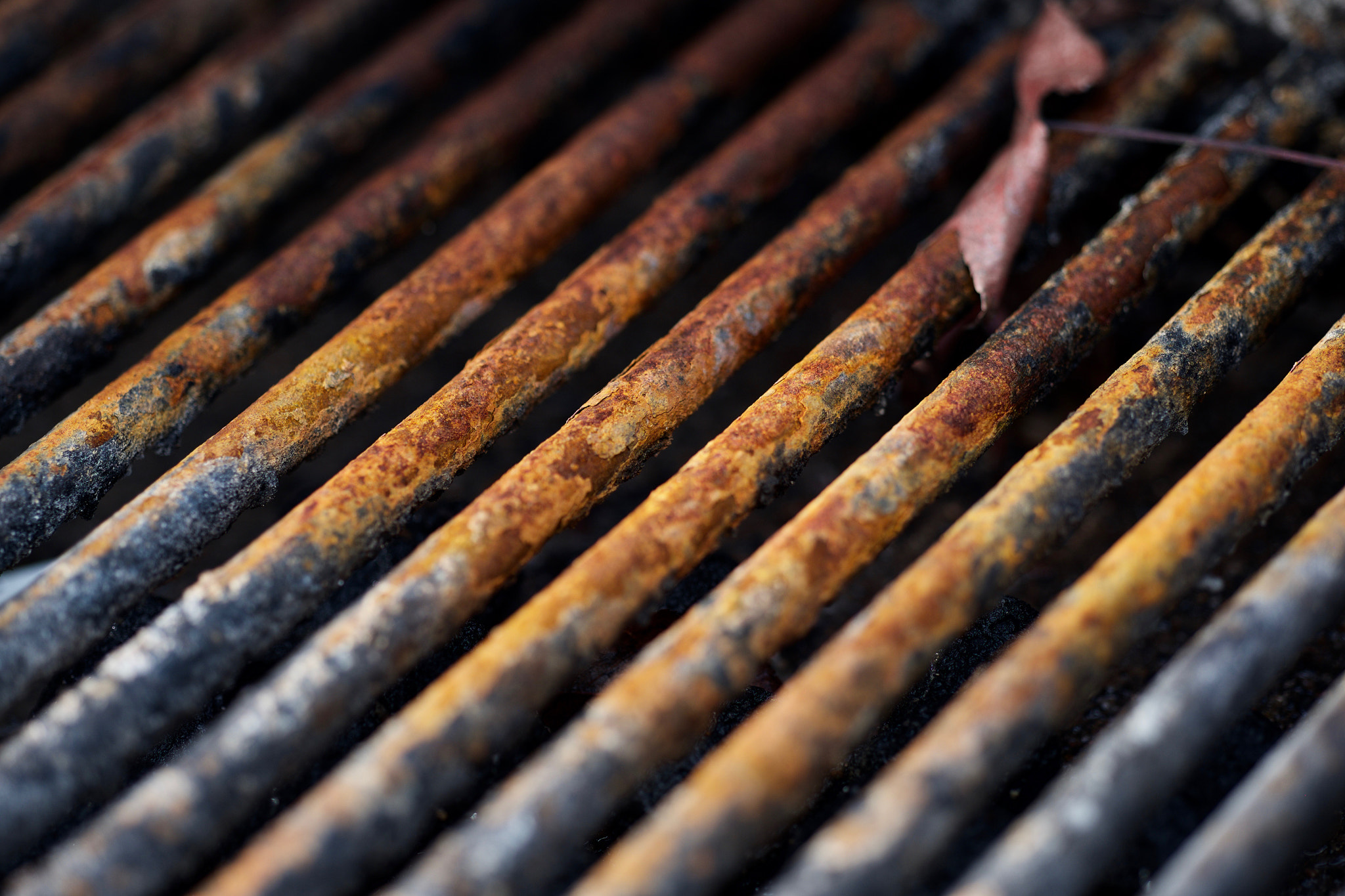 Fujifilm X-T1 + Fujifilm XF 90mm F2 R LM WR sample photo. A rusty bbq! lovin' the color. photography