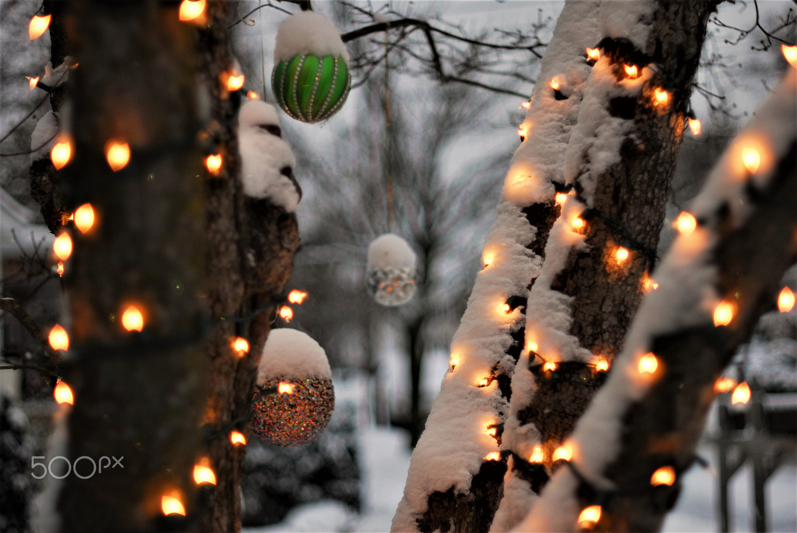 Nikon D200 + Manual Lens No CPU sample photo. () photography