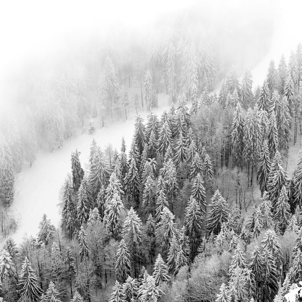Balade hivernale