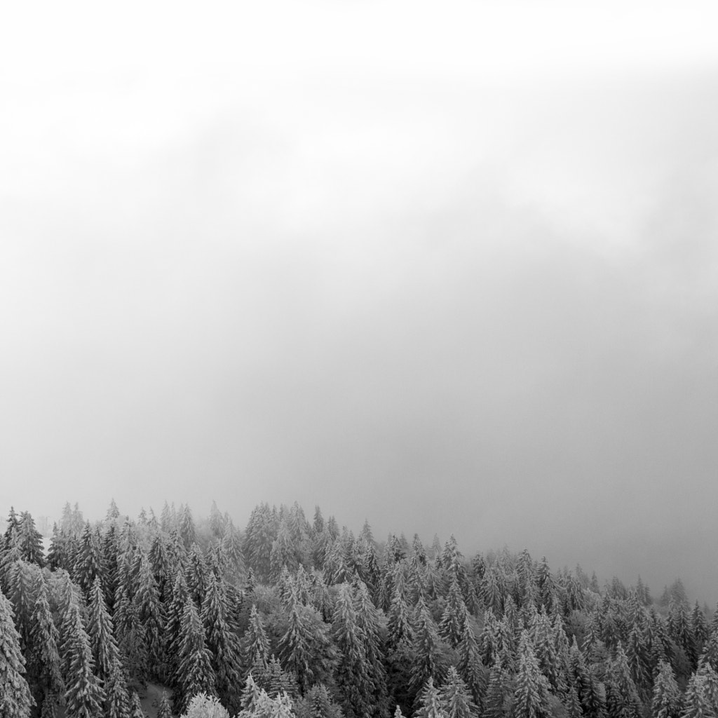 Balade hivernale