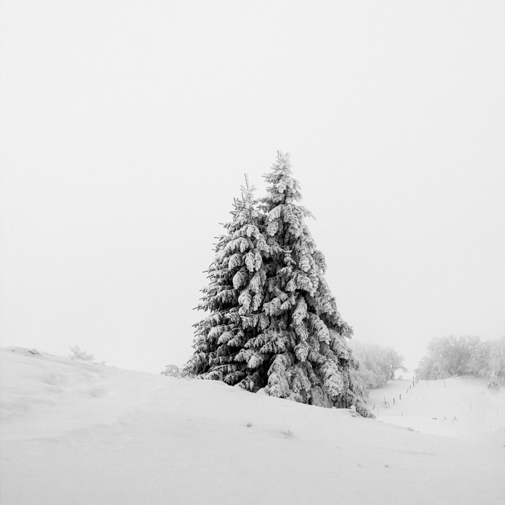 Balade hivernale