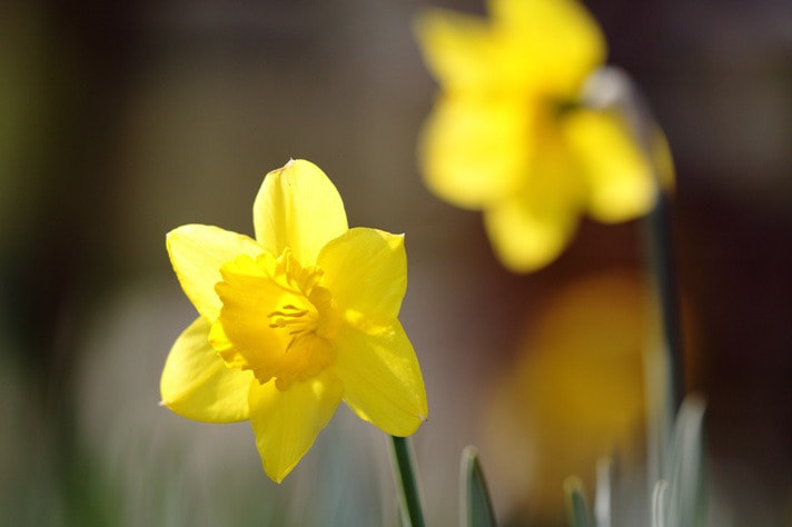 Canon 150mm sample photo. Rs cr photography