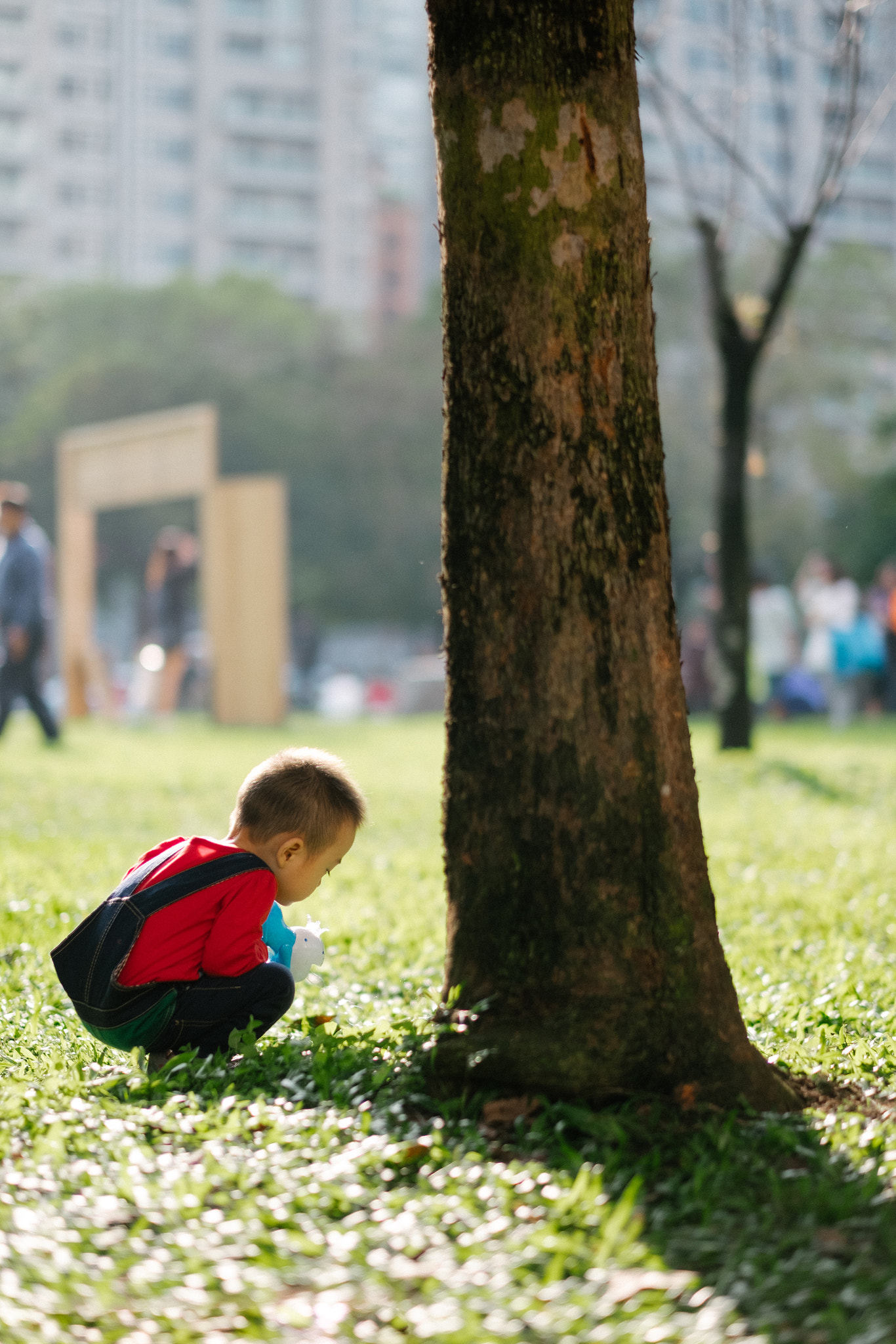 Fujifilm XF 56mm F1.2 R sample photo. The little tree photography