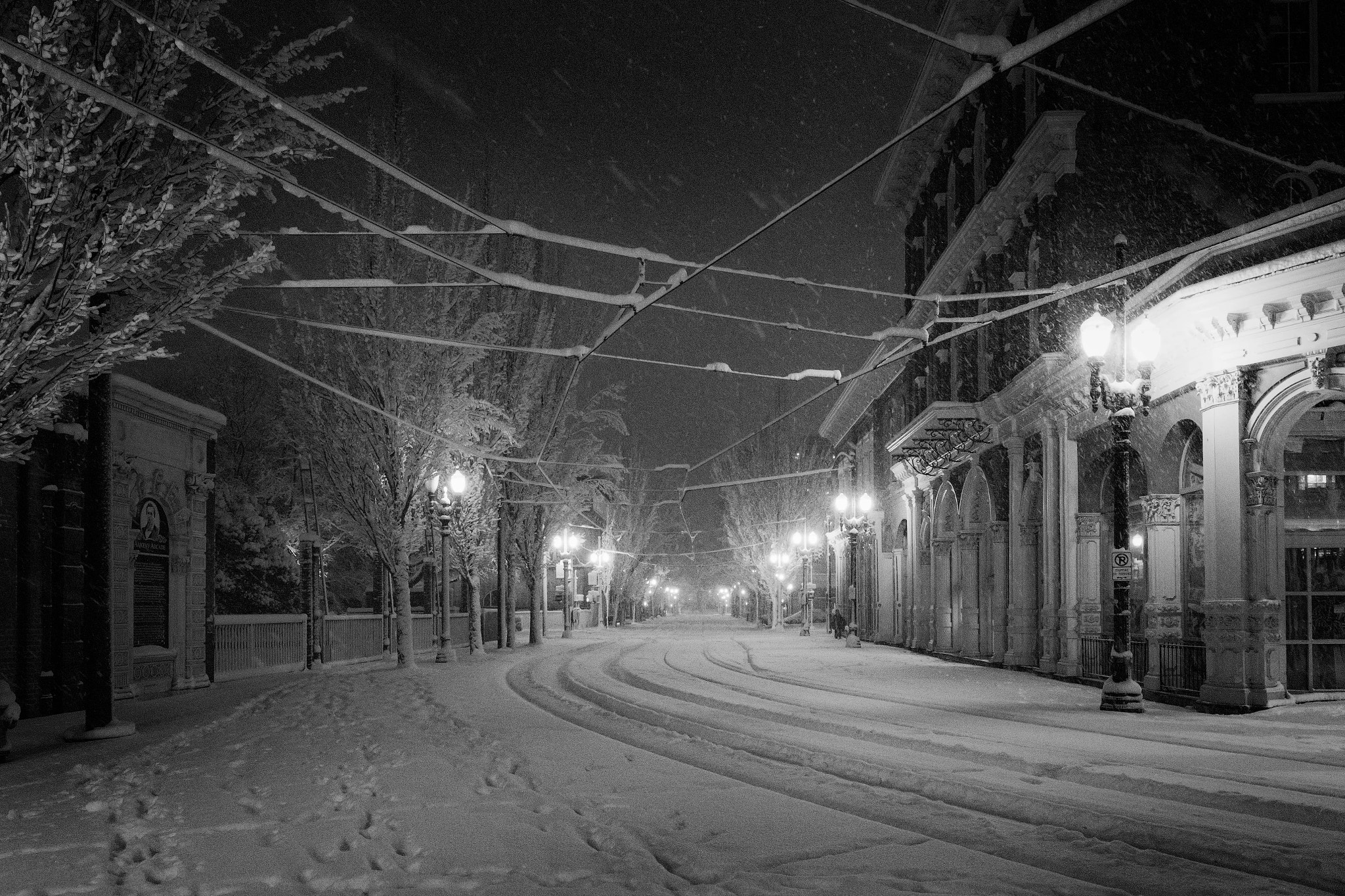 Canon EF 16-35mm F4L IS USM sample photo. Winter noir v photography