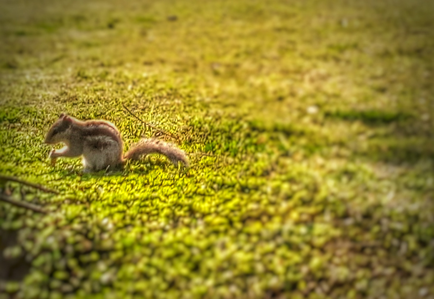Micromax Canvas A1 sample photo. Cute❤ photography