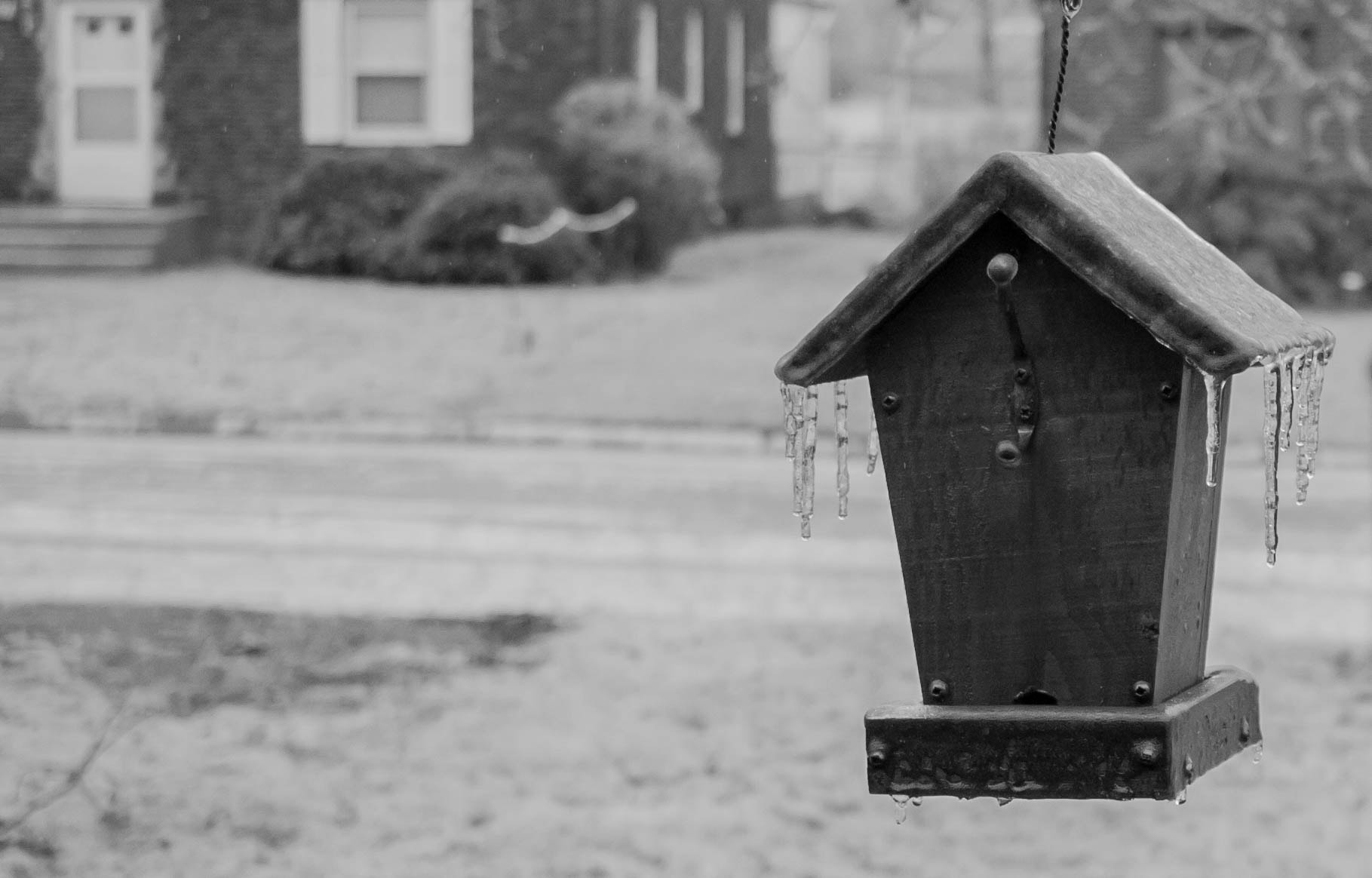 Canon EF-S 24mm F2.8 STM sample photo. Bird house photography