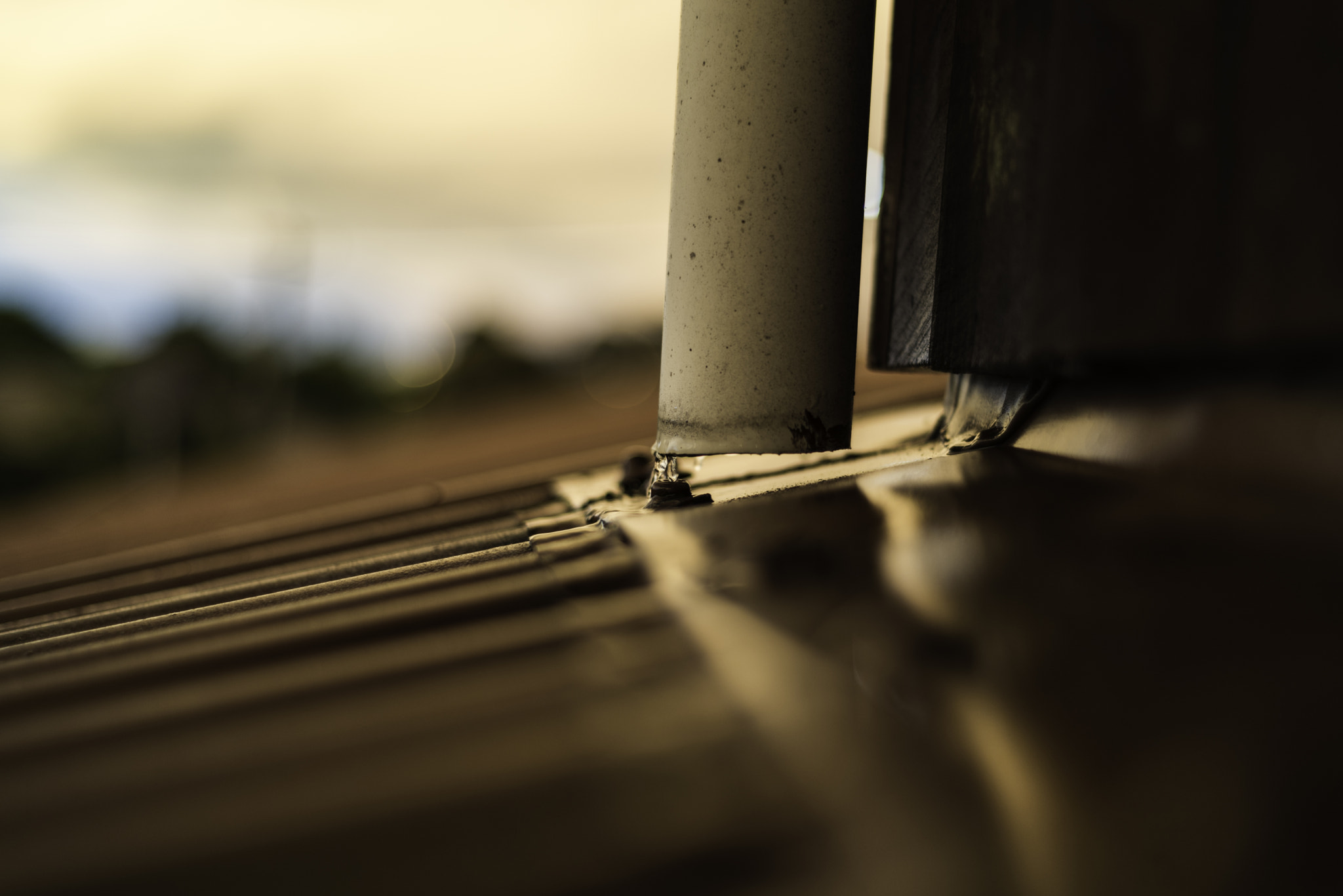 Nikon D610 + AF Nikkor 50mm f/1.8 sample photo. After the rain photography