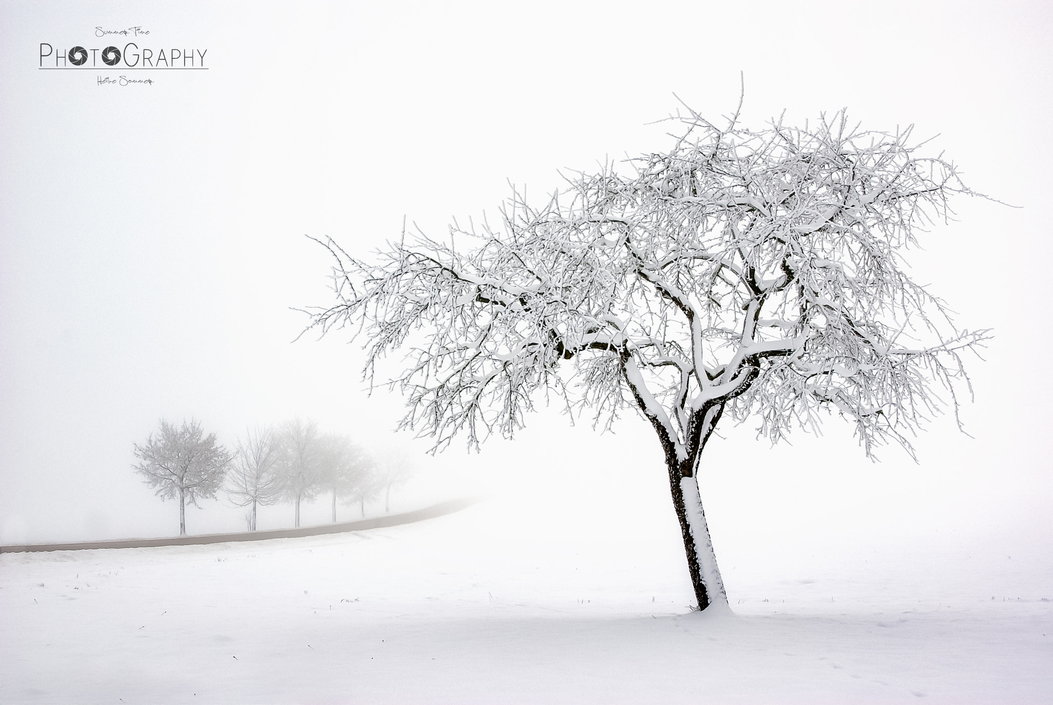 Pentax K10D sample photo. Wintertime ii photography