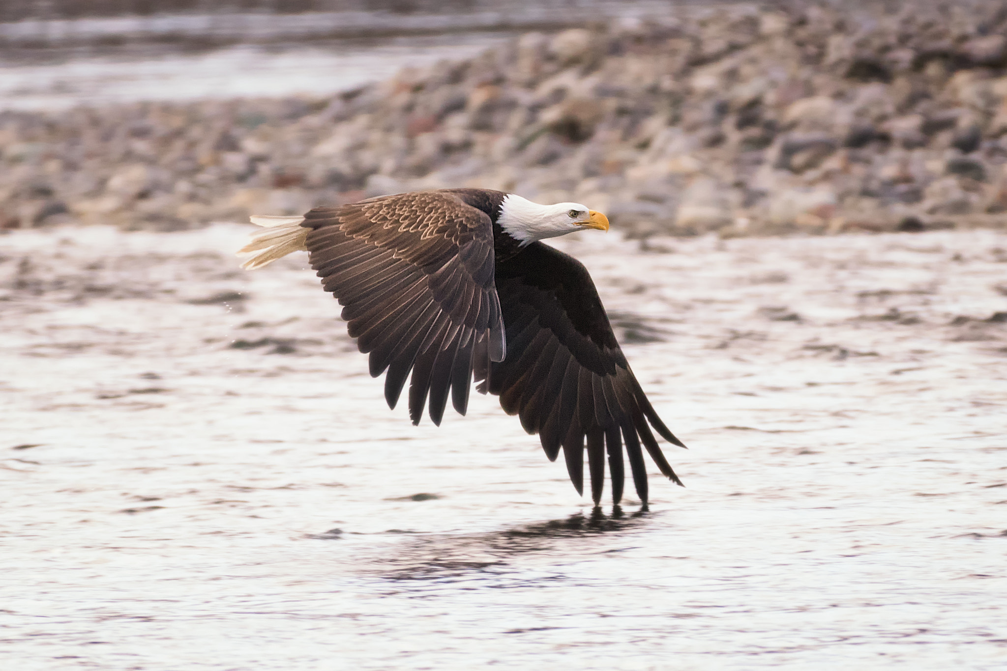 Canon EF 70-200mm F2.8L IS II USM sample photo. Touching the river photography