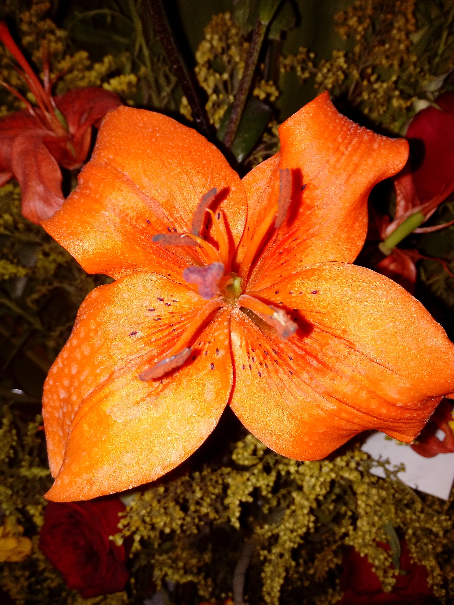 HUAWEI GR3 sample photo