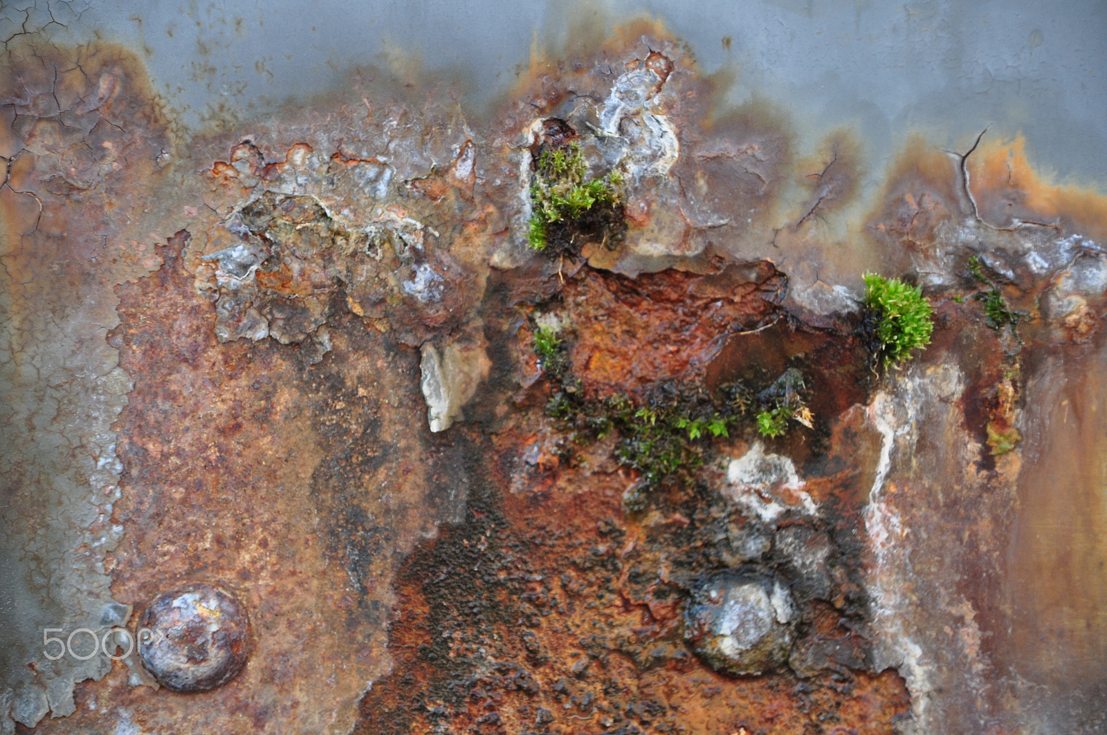Nikon D5000 sample photo. Rust 07 photography